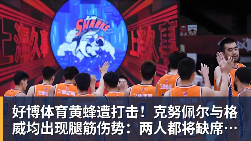 好博体育黄蜂遭打击！克努佩尔与格威均出现腿筋伤势：两人都将缺席季前赛