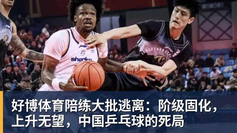 好博体育陪练大批逃离:阶级固化,上升无望,中国乒乓球的死局